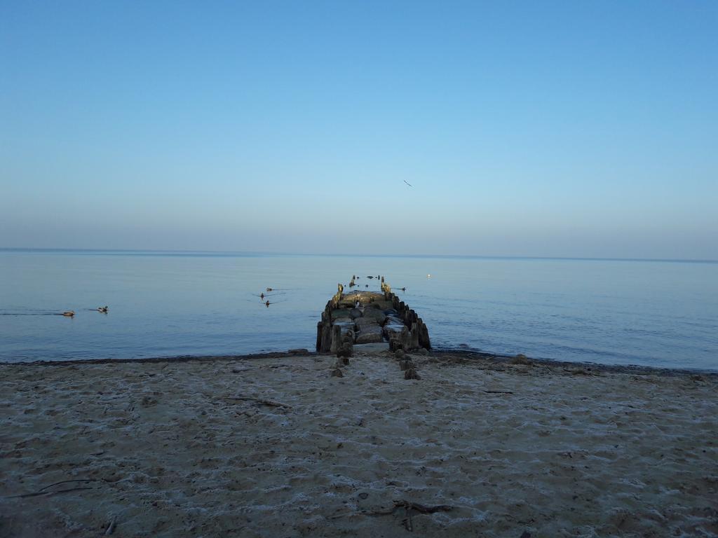 דירות דז'יבנובק Seaside Lesne Tarasy מראה חיצוני תמונה